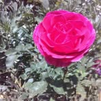 Eric Poston - Facebook