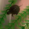 Eric Prange - @eric.prange - TikTok