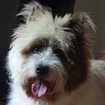 Eric Pranger - @ericpranger - Instagram