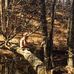 Eric Prescott - Facebook