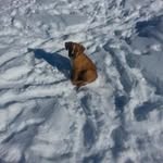 Erick Primeau - @erickprimeau - Instagram
