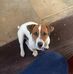 Eric Prins - Facebook