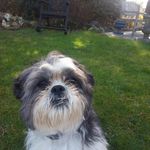 Eric Prinssen - @eric_prinssen - Instagram