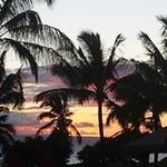 Eric Proffitt - @eproffitt01 - Instagram