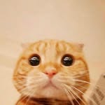 Eric - @eric_proud - Instagram