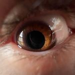 Eric Proulx - @lasemelleverte - Instagram