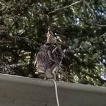 Eric Proulx - @ericplx72 - Instagram