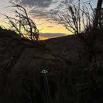 Eric Pulaski - @pulaskieric - Instagram
