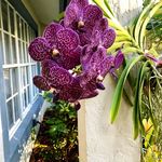 Eric Pullen - @eric516wkent - Instagram