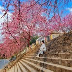 Eric Quằn - Facebook