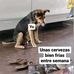 Eric Queen - Facebook
