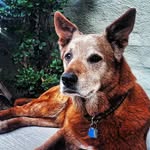 Eric Quezada - @pinotthief - Instagram