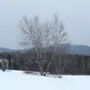 Eric Quirion - @eric.quirion3 - TikTok