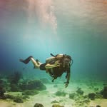 Karl-Eric Quirion - @fat.karl - Instagram