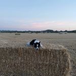 Eric Raby - @ericfuncar - Instagram