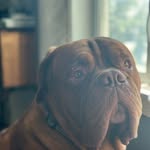Eric Raby - @eric.raby.7 - Instagram