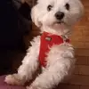 ericrambault - @ericrambault - TikTok