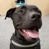 Eric Randley - @eric.randley - TikTok