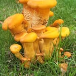 Eric Rathbun - @ericrathbun1 - Instagram