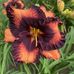 Eric Rauh - Facebook