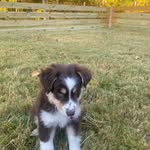 Eric Rayburn - @otisliftsu - Instagram