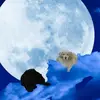 Eric Reymont - @eric.reymont - TikTok