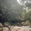 eric🦝 - @ericrazlan - TikTok