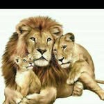 Ready Eric - @readyeric4 - Instagram