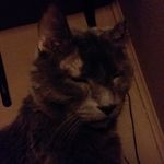 Eric Reames - @eric.reames - Instagram