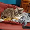 Eric Reavis - @eric.reavis8 - TikTok