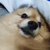 Eric Rebello - @eric.rebello8 - TikTok