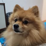 Eric Rebello - @rebelloeric - Instagram