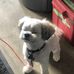 Eric Rebhahn - Facebook