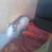 Eric Ratman - Facebook