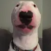 ERIC_ - @eric_reckers_ - TikTok