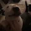 ERICTHERECKER - @erictherecker - TikTok