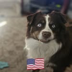 Eric Redick - @ericredick3 - Instagram