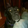 Eric Redmond - @eric.redmond87 - TikTok