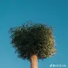 ERIC REDMOND - @ericredmond - TikTok