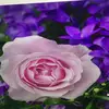 Eric Reed - @eric.reed852 - TikTok