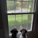 Eric Reeves - @ericreeves2509 - Instagram