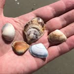 Eric Regnery - @eric.regnery - Instagram