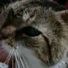 ericajazminregner - @eriregner - TikTok