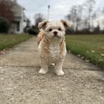 Eric rehm - @conrad_41824 - Instagram