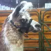 Eric Rehm - @eric.rehm - TikTok