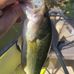 Eric Rehm with Piscifun - Facebook