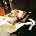 Eric Rehmann - @rehmerica50 - Instagram