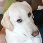 Eric Reho - @mrreho - Instagram