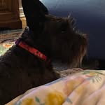 Linda Rehwaldt-Erickson - @lindaerickson6442 - Instagram