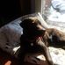 Eric Reichbart - Facebook